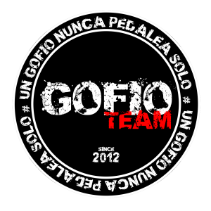 Cuota anual de equipo 2025